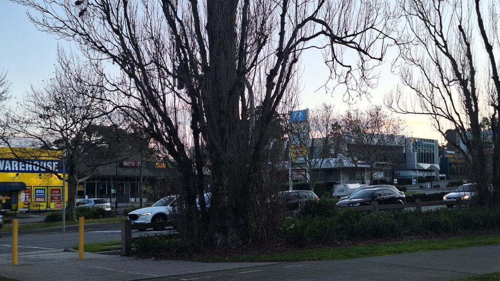 Maroondah Highway retail strip opposite Ringwood Lake Park in Ringwood