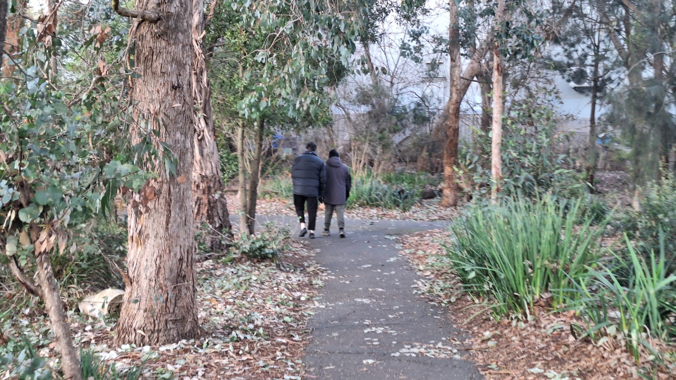 A tree-lined walking path at Ringwood Lake Park
